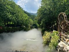 -广州白江湖森林公园