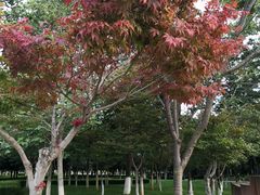-云南师范大学(一二一西南联大校区)