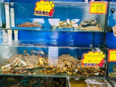 -蚝专家(北滘店)