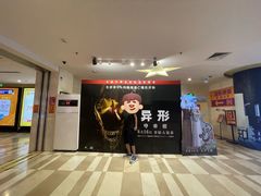 -嘉华国际影城(学清路店)