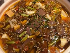 -天辣(金桥啦啦宝都店)