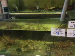 -ZF Seafood Restaurant 卓峰海鲜餐
