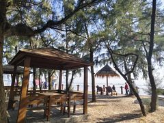 -北海金海湾红树林生态旅游区