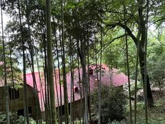 -莫干山风景区