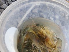 -DGE季风钓虾营地·团建·聚会