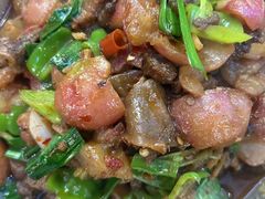 -龙小海荆沙鸽子店(瑞安街店)