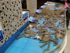 -双井轩(双井店)