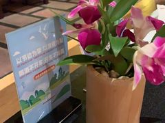 -羡餐厅·杭帮菜·淳菜(千岛湖自由洲际殿店)
