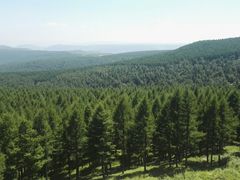 -塞罕坝国家级自然保护区