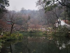 -岳麓山风景名胜区