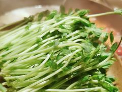 -盡膳口福跷脚牛肉火锅(北美新天地店)