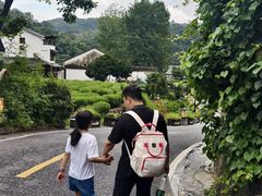 -十八棵（老龙井）御茶园(老龙井店)