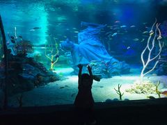 -沈阳海洋探索中心