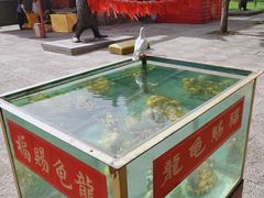 -中岳庙