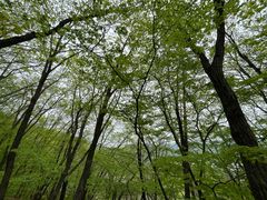 -五女山景区