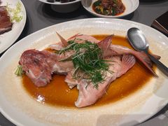 -金悦轩海鲜酒家(拱北店)