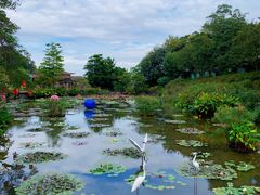 -广州莲花山旅游区