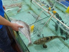 -寻味顺德·南记酒家·传统顺德菜·鱼生(广源路店)