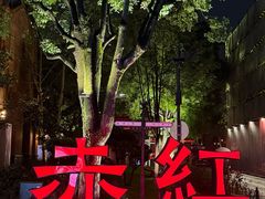 -赤红音乐现场(浦东金桥路店)