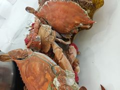 -春华海鲜城(广场西苑店)