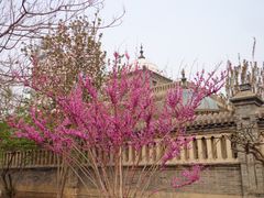 DSC08082-卫鼎轩·曹公馆(鼓楼店)