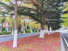 -大连理工大学(凌水校区)