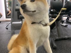 -YCHL Studios健身工作室(市二宫店)