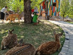 -北京鹿世界主题园