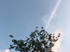 -BanCake·法式千层·拿破仑專門店