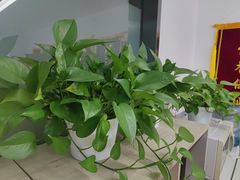 -北京华佳律师事务所(双井店)