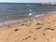 -老虎石海上公园