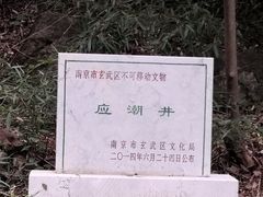 -紫金山山顶公园