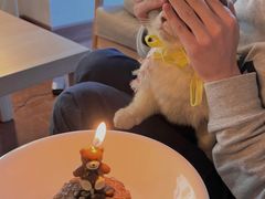 -帕帕拉兹宠物(亚洲旗舰店)