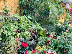 -园林美食城·本土农家菜(杨和镇店)