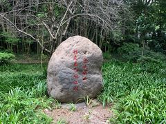 -峨眉山报国寺