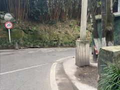 -重庆彩云湖湿地公园