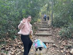 -青龙山国家森林公园