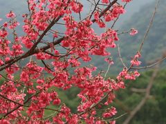 -福清灵石山国家森林公园