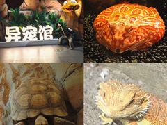 -哈尔滨极地公园