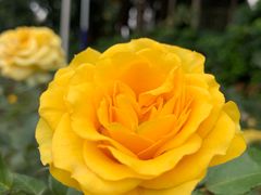 -人民公园(罗湖区)