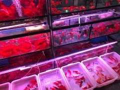 -宝鸡东道花鸟鱼虫市场(吉利花园商场店)