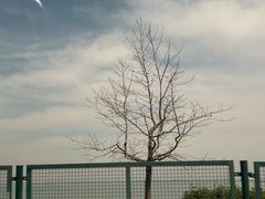 -阳澄湖半岛旅游度假区