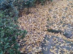 -李先生的首尔小馆(松江启源广场店)