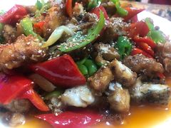 -煲来饱去冷水鱼