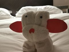 -青岛海尔洲际酒店