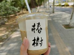-椿树咖啡