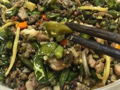 -正宗来凤鱼璧山兔(花卉园店)