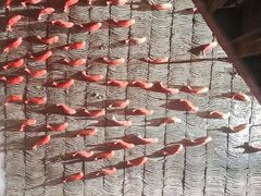 -小龙坎老火锅(鹤伴一路店)