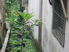 -南山植物园