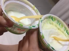 -德禄酸奶(莫家街店)